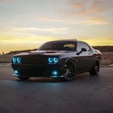 Lighting Trendz 2015-2023 Dodge Challenger Halo LED Kit - Custom